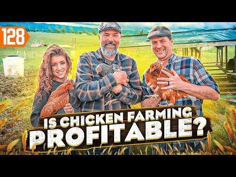 business plan of chicken farm